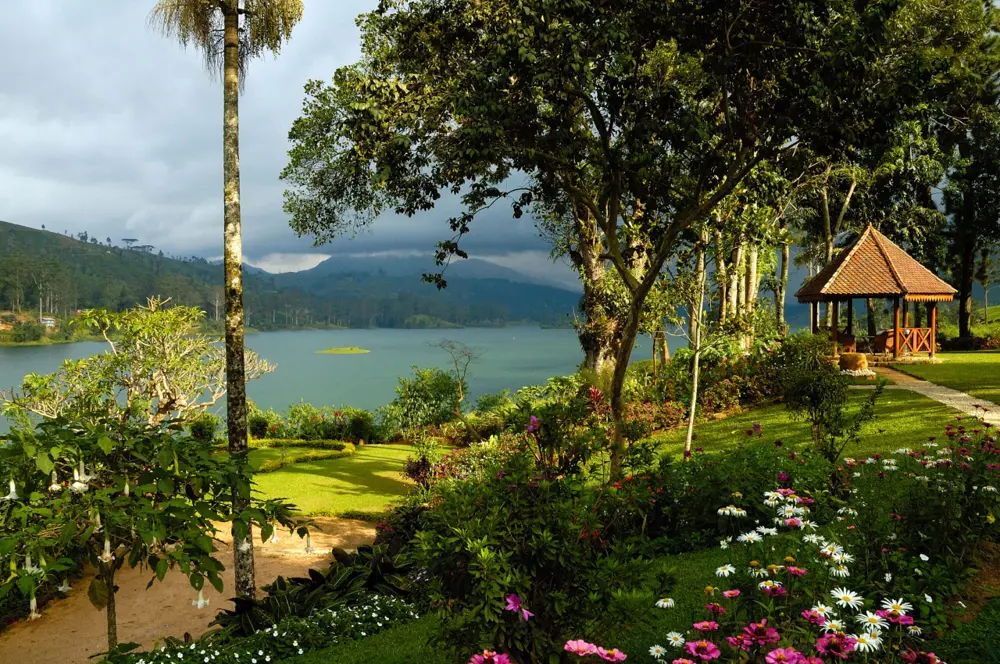 Ceylon Tea Trail Garden Views