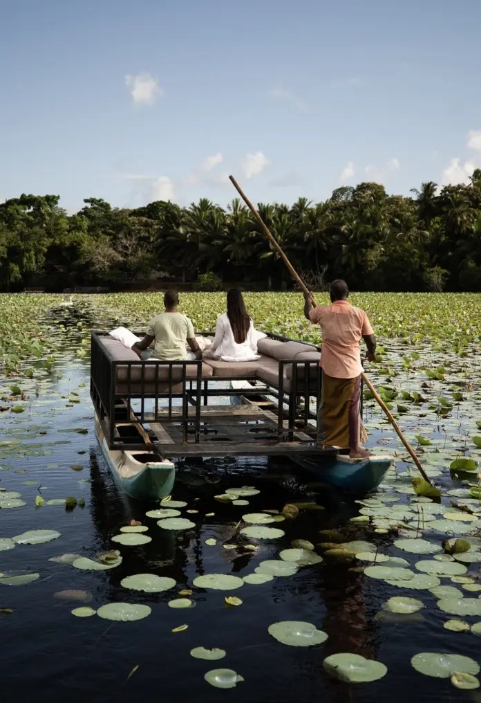 Honeymoons