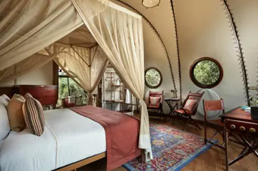 Cocoon Suite – Large (2)