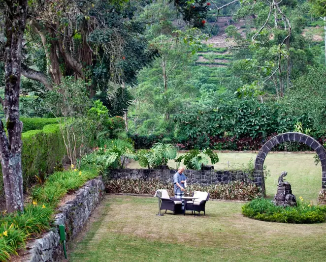 High Tea in The Gardens