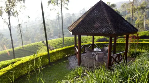 Gardens Overlooking Tea Plantations