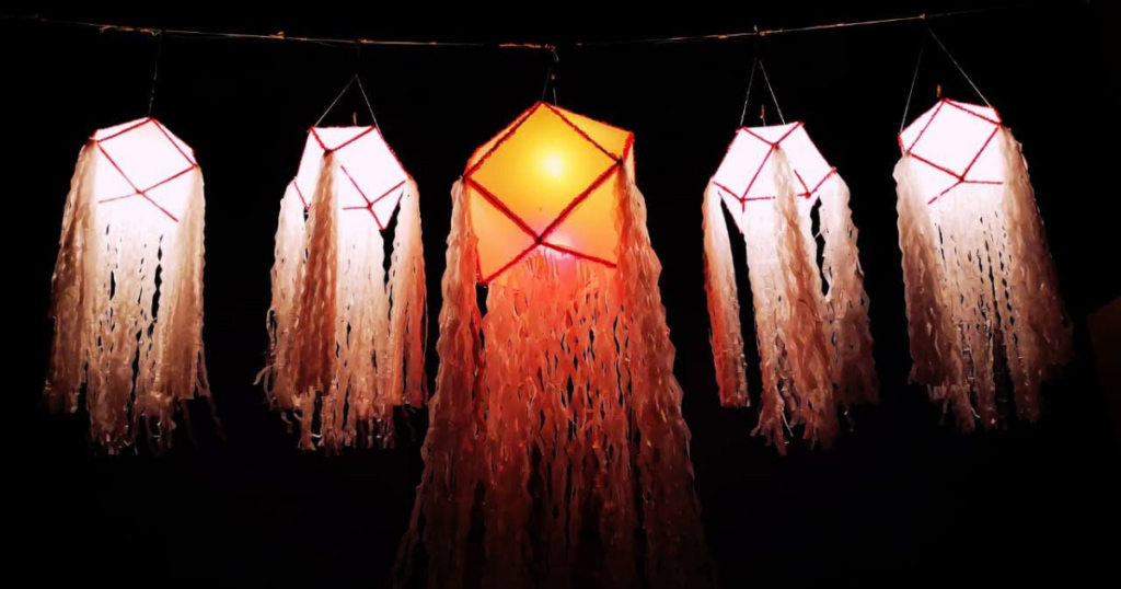 The Best Times to Visit