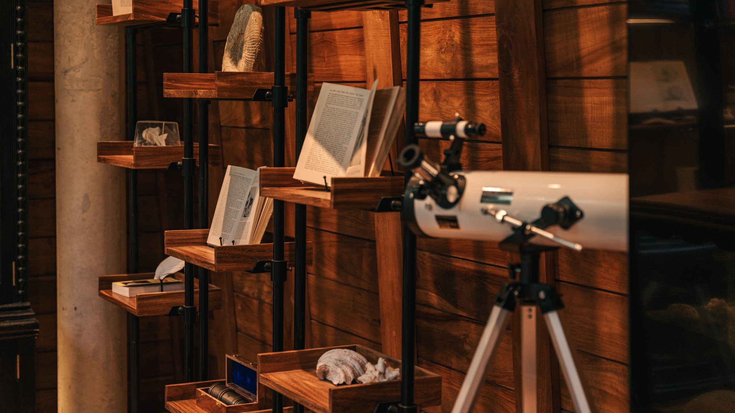 Forest School at The Fossil Room, Wild Coast Tented Lodge