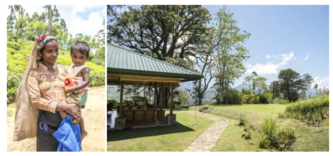 Discovering Culinary Bliss at the Kitchen at Holmes - A Gourmet Journey