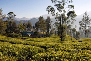 sri lanka road trip