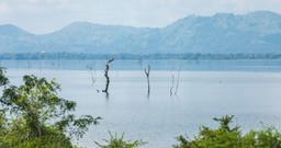 lake