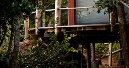 Creating Wild Coast Tented Lodge
