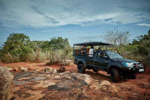 safari rangers