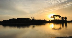 Lake View