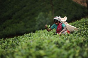 farmer lady