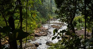 River View