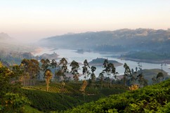 Sri Lanka Has