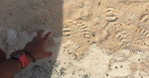 Beach Sand