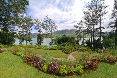 The Green Thumb Behind Ceylon Tea Trails