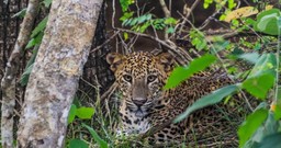 The-Best-Times-to-Visit-Sri-Lanka7