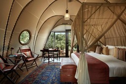 Cocoon