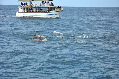 marine experience in Sri Lanka 