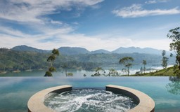 Tea Trails launches pioneering leopard conservation centre