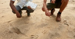 Sand