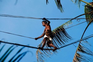 Arrack