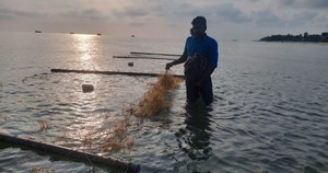 ocean image