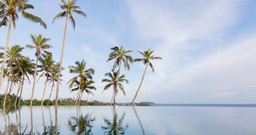 Smitten with Sri Lanka
