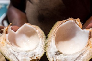 Coconut