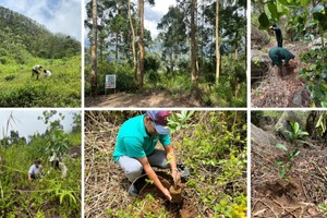 planting activity