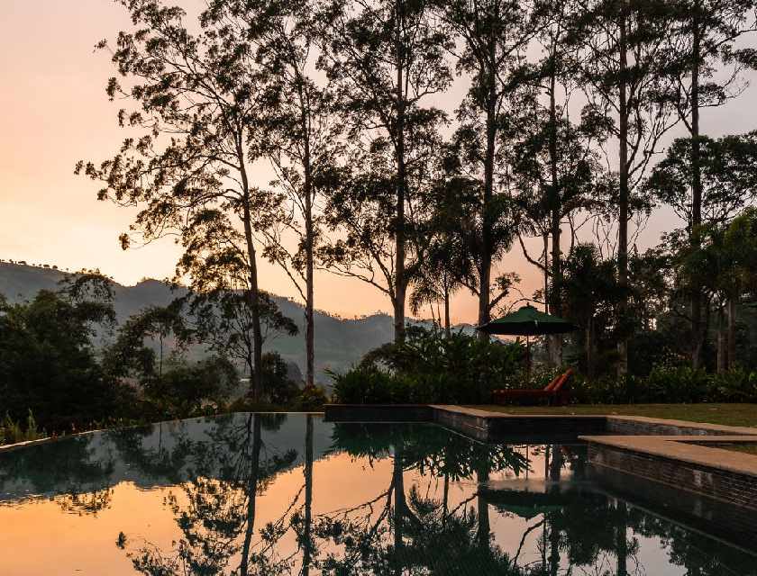 Sri Lanka Has Beaches, Safari Parks, and Spectacular Tea Country – Here’s How to Combine All Three into the Perfect Trip