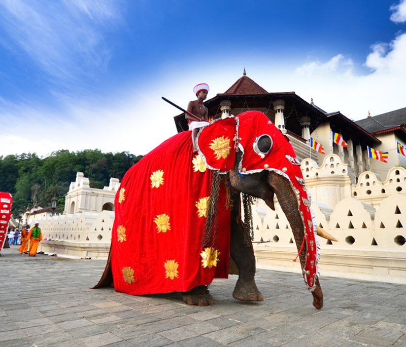Kandy Heritage Excursions